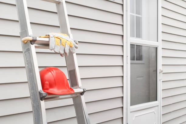 Best Fiber Cement Siding Installation  in Citrus Park, AZ