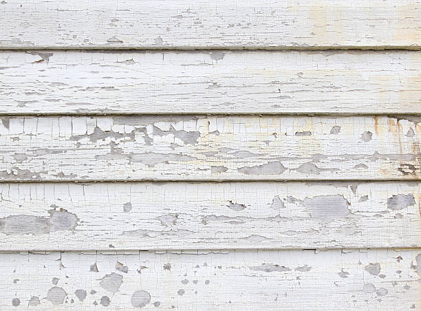 Best Historical Building Siding Restoration  in Citrus Park, AZ